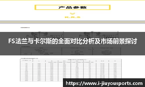 FS法兰与卡尔斯的全面对比分析及市场前景探讨