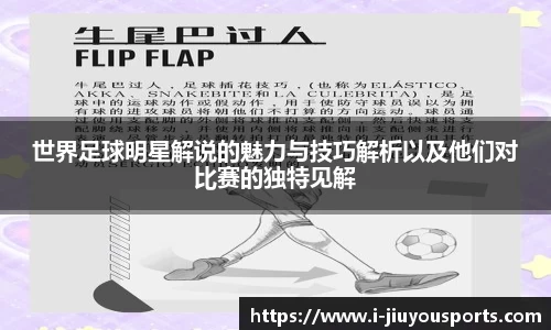 世界足球明星解说的魅力与技巧解析以及他们对比赛的独特见解